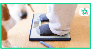 What Is the Highest Dose of Semaglutide?