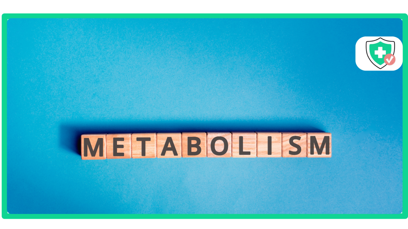 Does Semaglutide Increase Metabolism